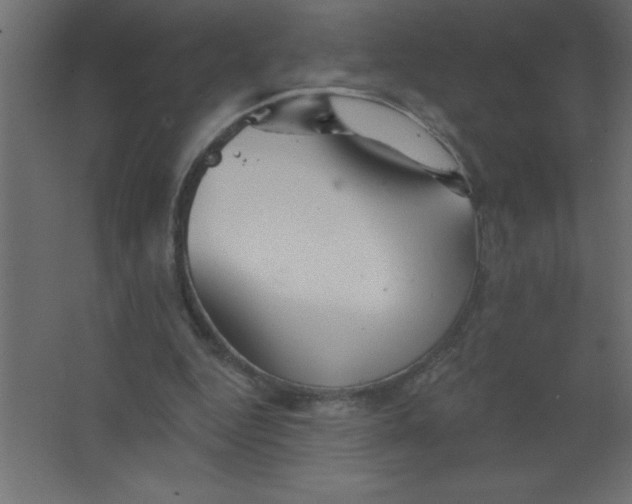 X0000067350344200604212007