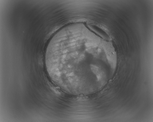 X0000067350345200604212007