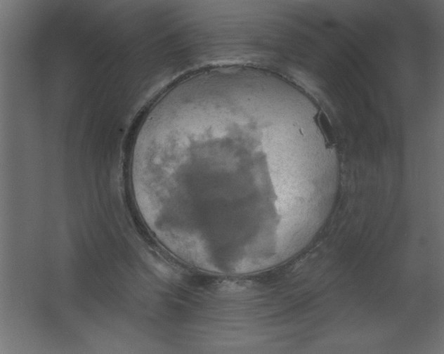 X0000067350346200604212007