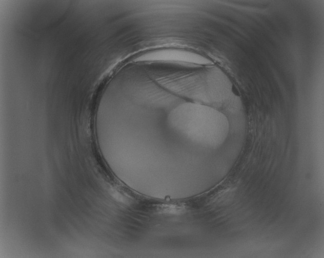 X0000067350347200604212007