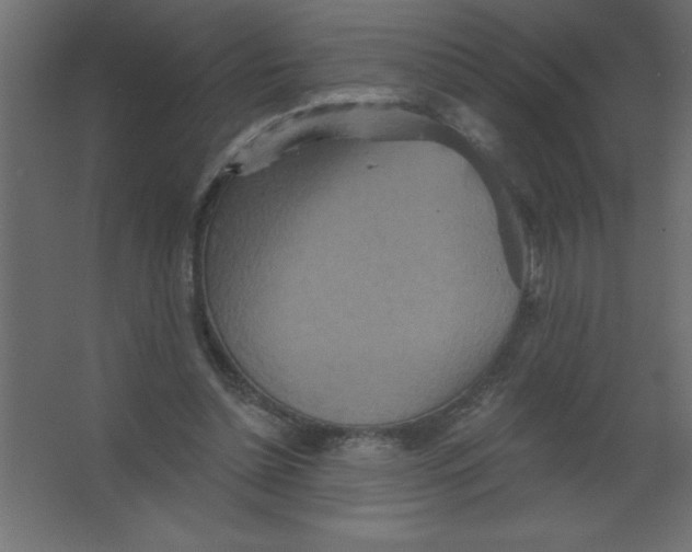 X0000067350348200604212007