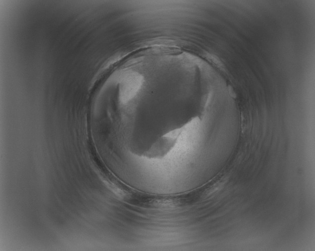 X0000067350349200604212007