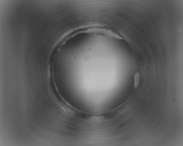 X0000067350350200604212007