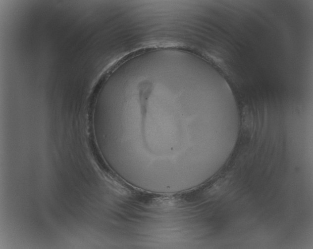 X0000067350351200604212007