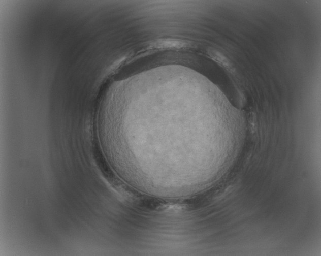 X0000067350352200604212007