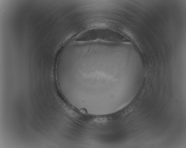 X0000067350353200604212007