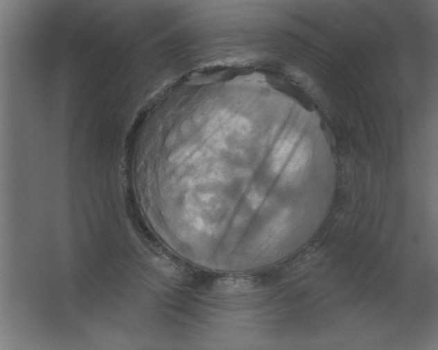 X0000067350354200604212007