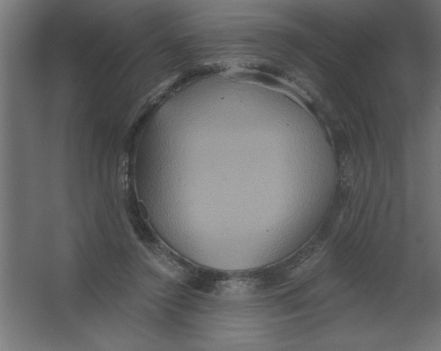 X0000067350356200604212007