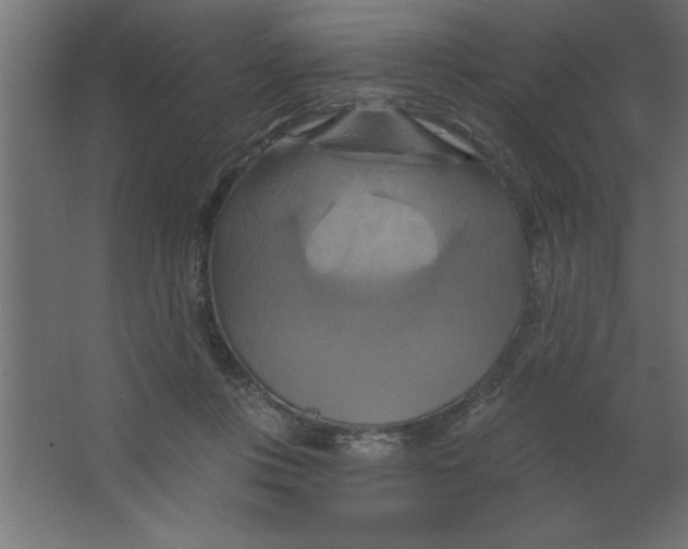 X0000067350359200604212007