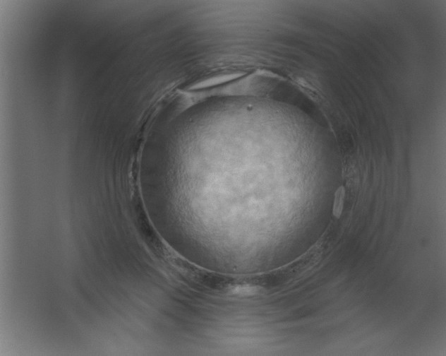 X0000067350360200604212008