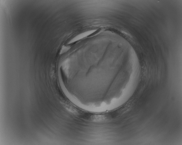 X0000067350361200604212008