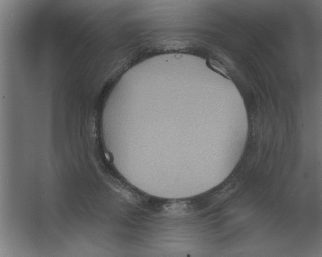 X0000067350362200604212008