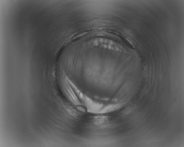 X0000067350363200604212008