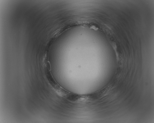 X0000067350364200604212008