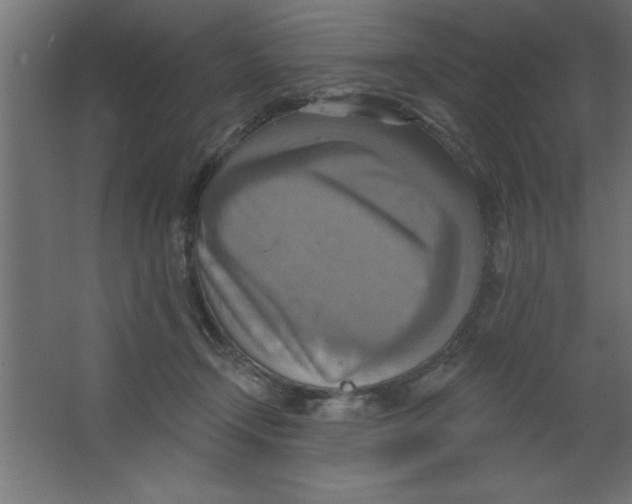 X0000067350366200604212008