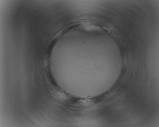 X0000067350367200604212008