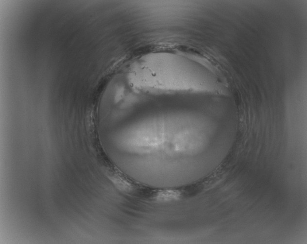 X0000067350369200604212008