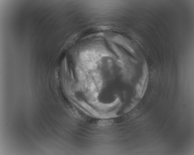 X0000067350373200604212008