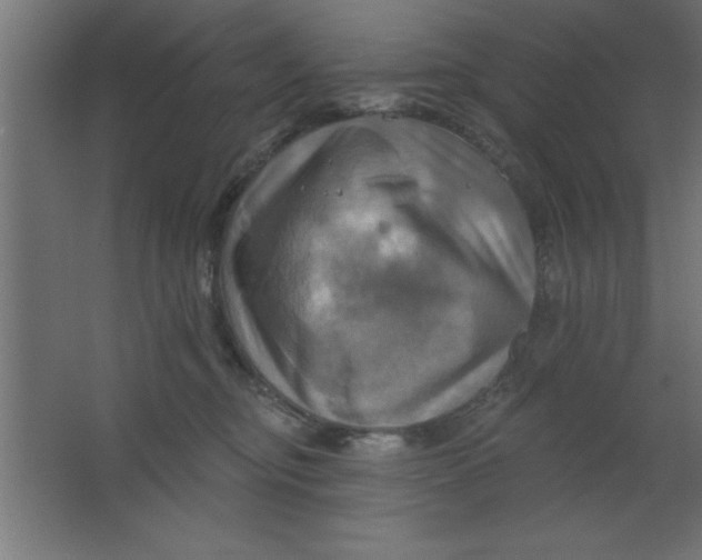 X0000067350374200604212008