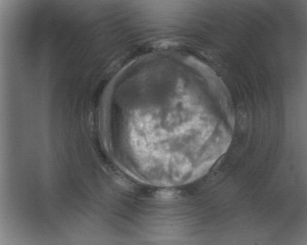 X0000067350375200604212008