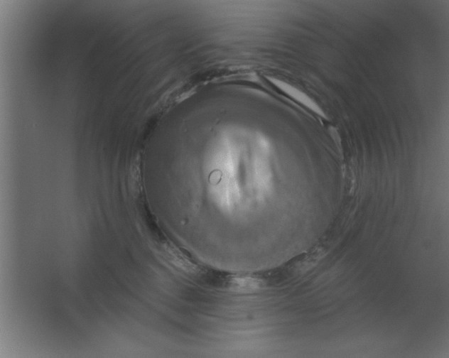 X0000067350376200604212008