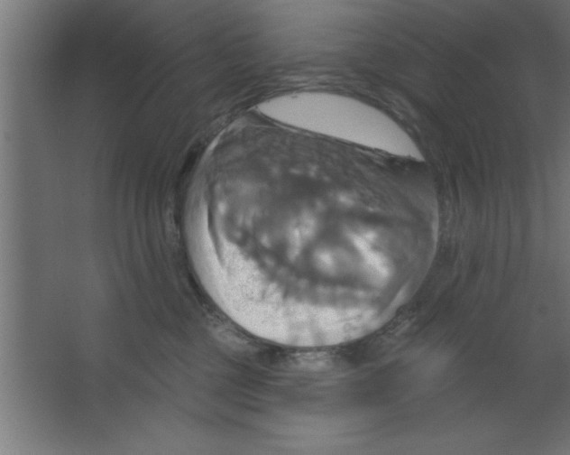 X0000067350377200604212008