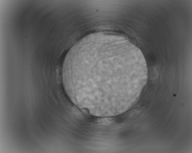 X0000067350378200604212008