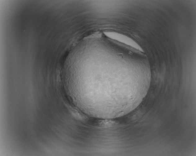 X0000067350379200604212008