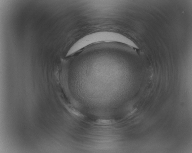 X0000067350380200604212008