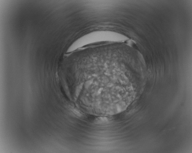 X0000067350381200604212008