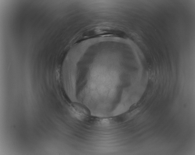 X0000067350382200604212008