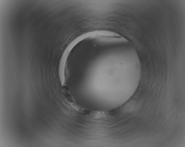 X0000067350384200604212008