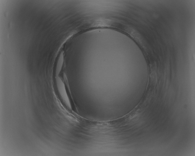 X0000067350386200604212007