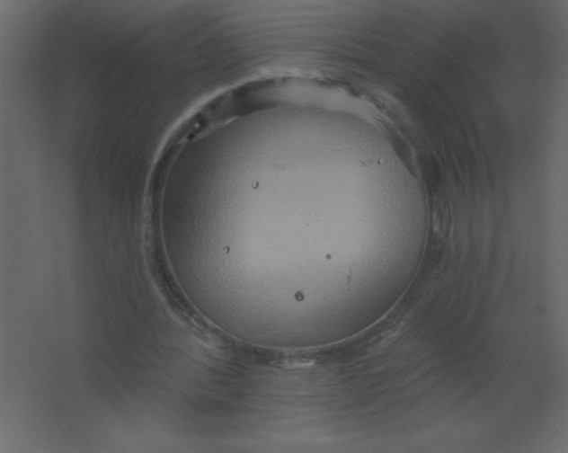 X0000067350388200604212007