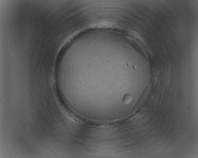 X0000067350392200604212007