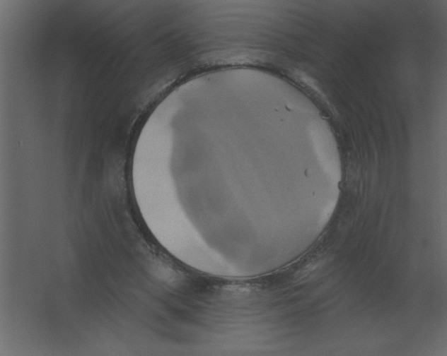 X0000067350394200604212007