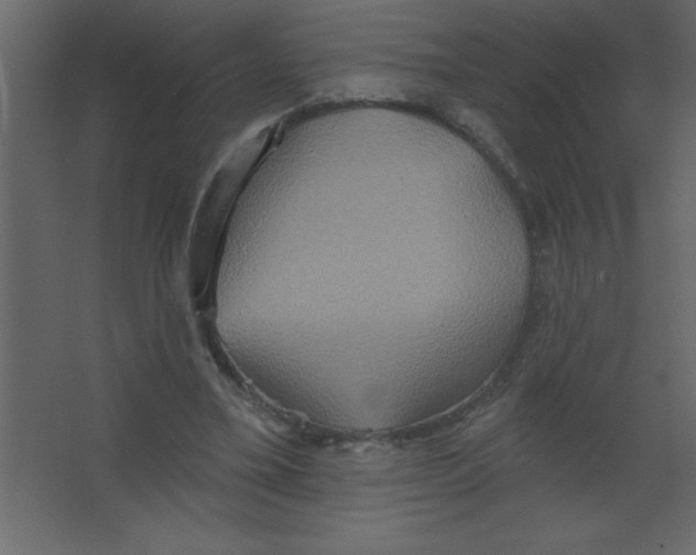 X0000067350395200604212007