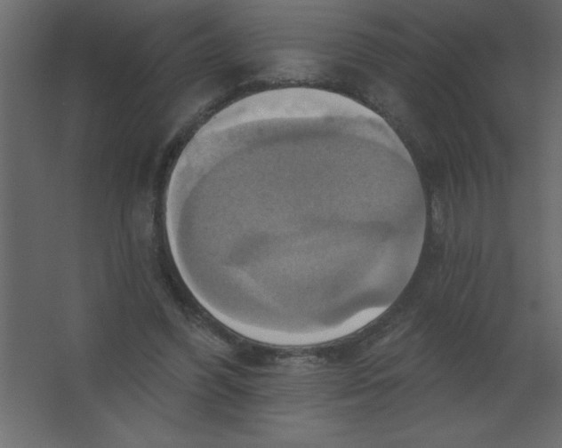 X0000067350396200604212007