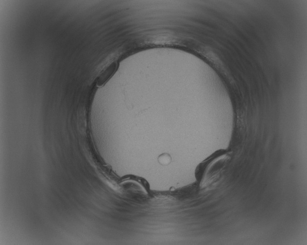 X0000067350397200604212007