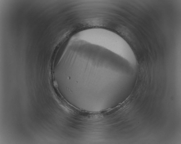 X0000067350398200604212007