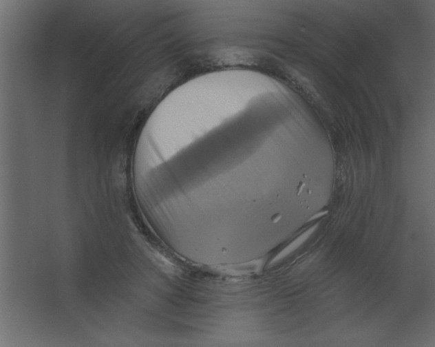 X0000067350402200604212007