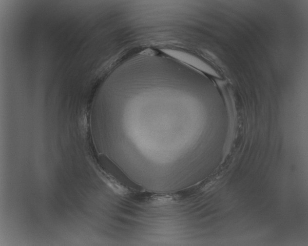 X0000067350405200604212007