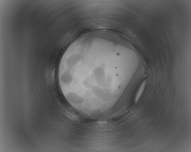 X0000067350406200604212007