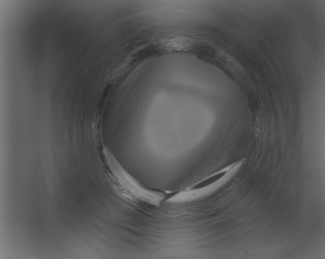 X0000067350409200604212007