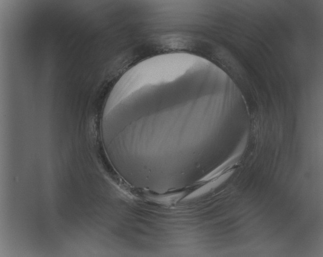 X0000067350410200604212007