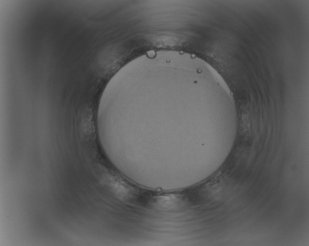 X0000067350411200604212007