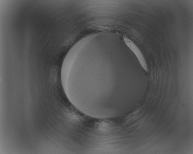 X0000067350412200604212007