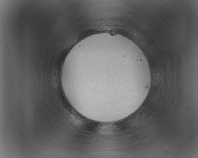 X0000067350414200604212007