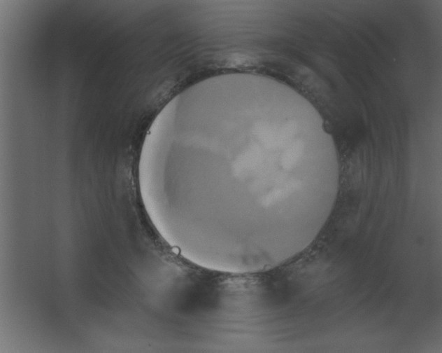 X0000067350415200604212007