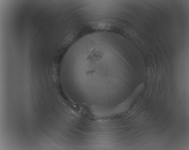 X0000067350416200604212007